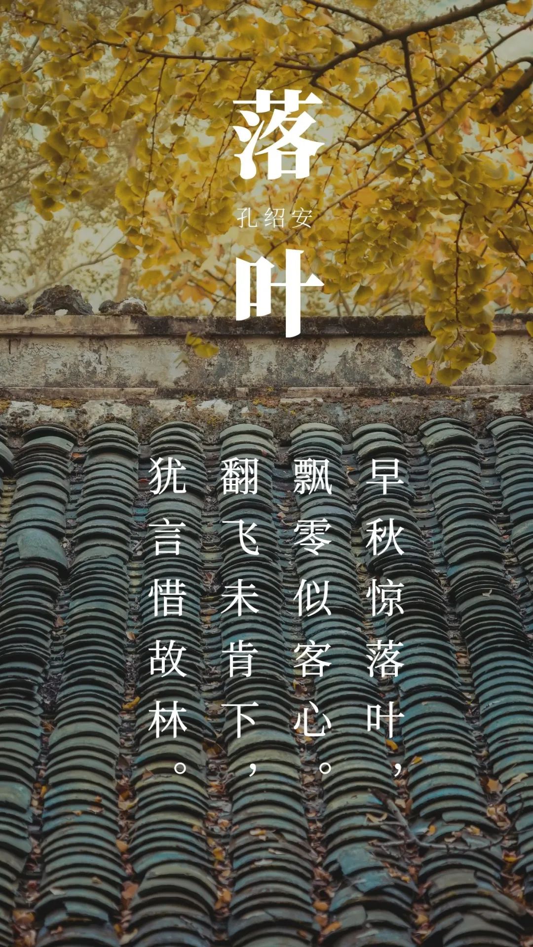 佐井_佐井最后为什么叛变了_佐井和井野怎么在一起的