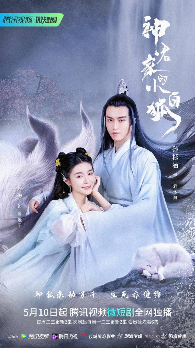 白狐视频素材_白狐视频_视频白狐歌曲完整版下载