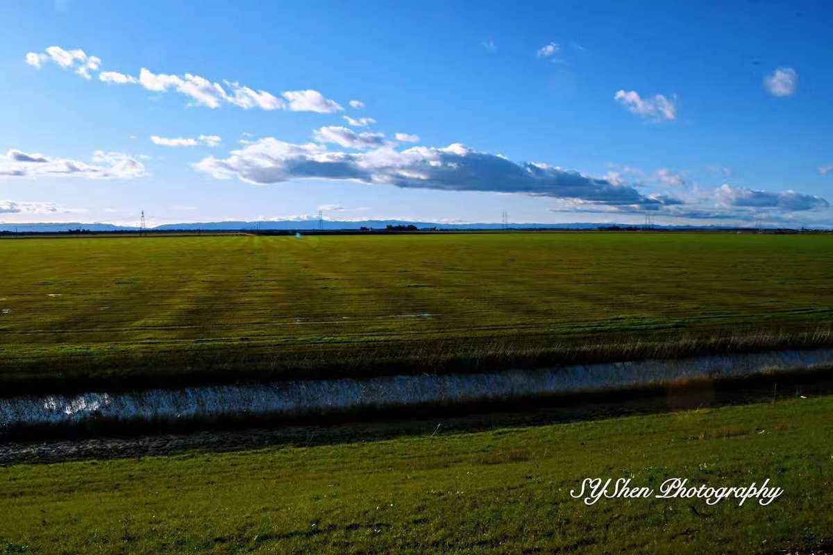 平原惊雷_平原惊雷怎么在手机上玩_平原惊雷2下载