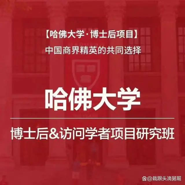 哈佛h1和哈佛h2的区别_哈佛h2与哈佛h6_哈佛