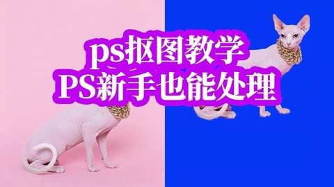 ps如何快速抠图-Photoshop快速高效抠图技巧：选择合适工具，熟练运用快捷键，轻松应对各种抠图任务