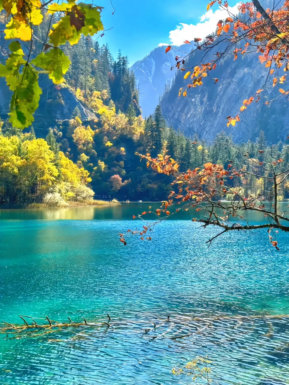 手机光明记忆游戏_光明记忆手游上线了吗_光明记忆手游完整版出了吗