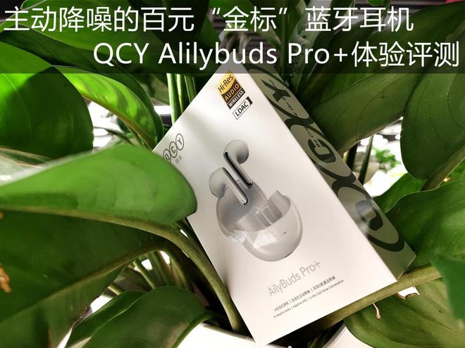 蓝牙降噪耳机什么意思_蓝牙耳机降噪有什么区别_蓝牙耳机降噪是什么意思