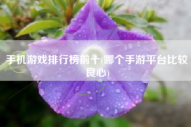 游戏玩的最多的手机_玩手机游戏的危害_玩手机游戏用英语怎么说